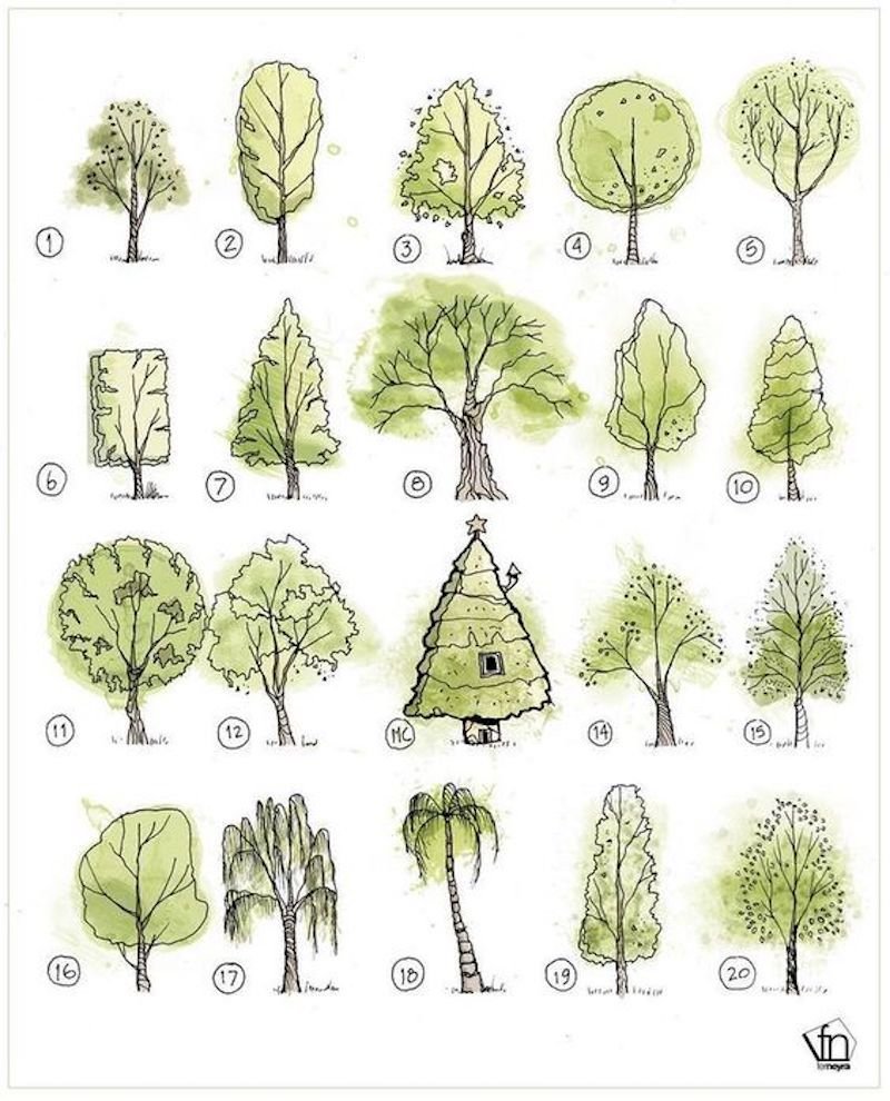 Формы деревьев и кустарников
