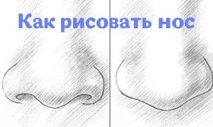 Нос рисунок карандашом поэтапно легко