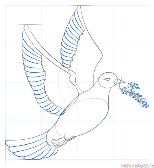 Как рисовать голубя поэтапно на 9 мая