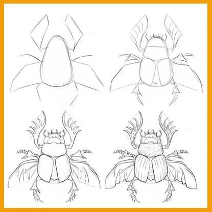 Жук олень задания для дошкольников 3-4