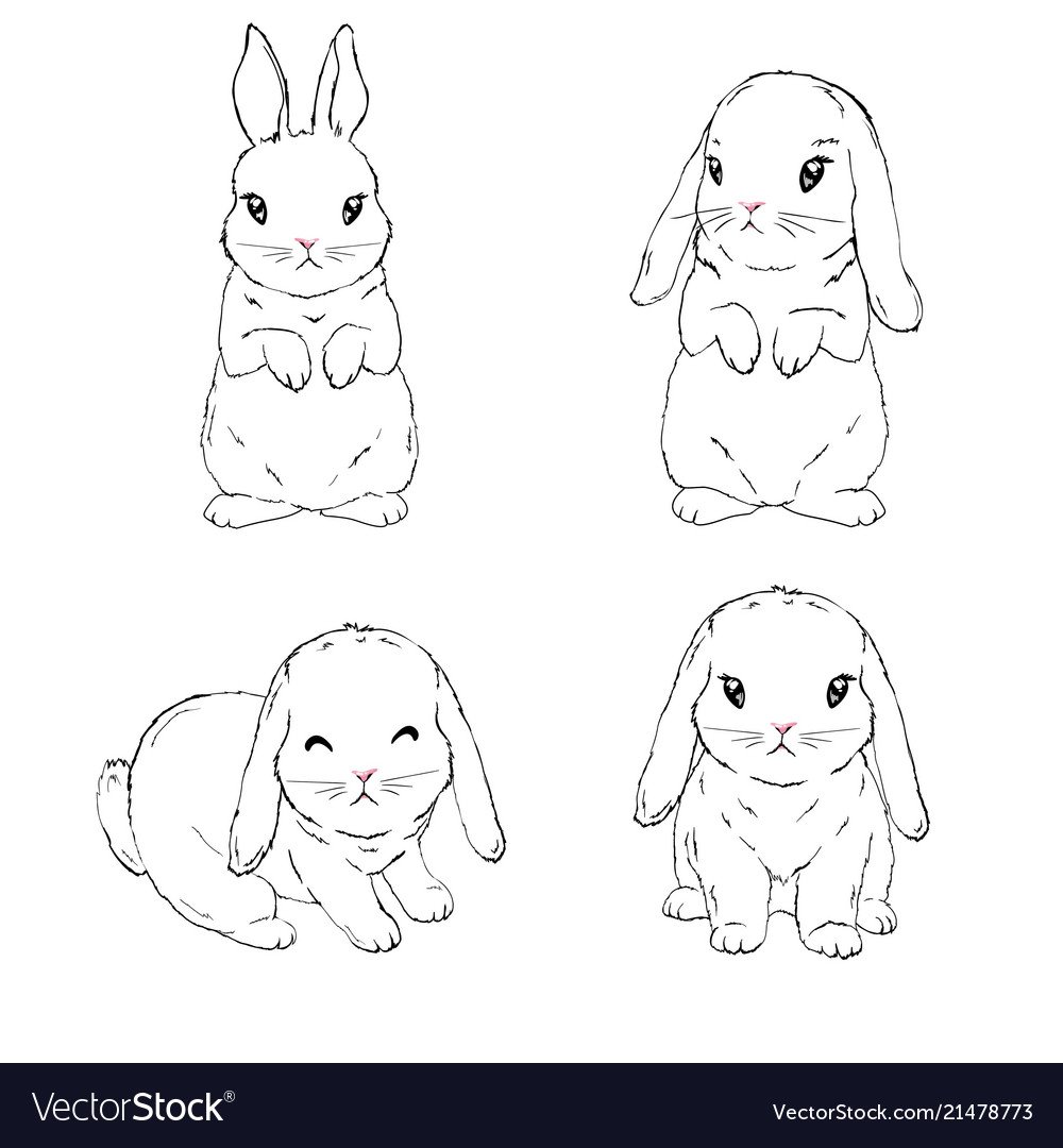 Кролик карандашом для срисовки