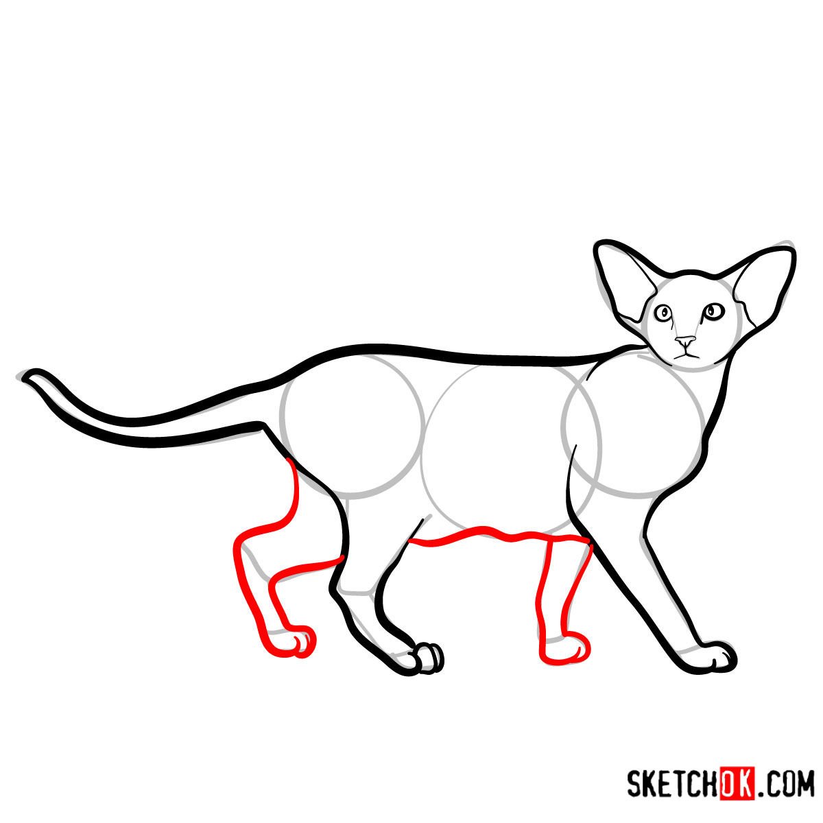 Ориентальная кошка раскраска
