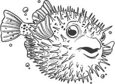 Морские Ежи раскраска