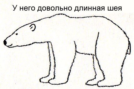 Как нарисовать белого медведя