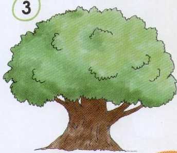 Дерево снизу рисунок