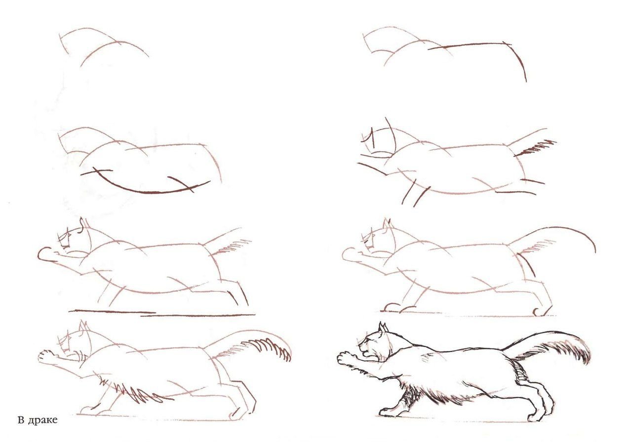 Кошка пошаговое рисование для взрослых