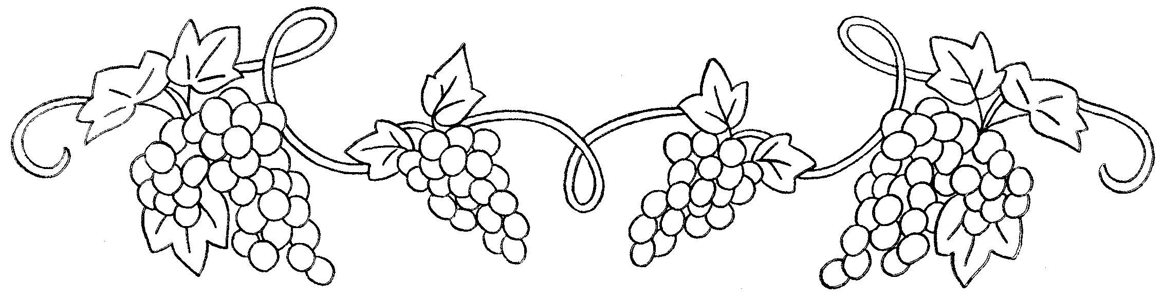 Виноградная лоза рисунок контур