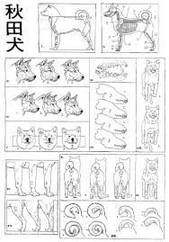 Шиба ину арт Графика