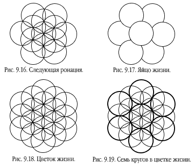 Построение цветка жизни