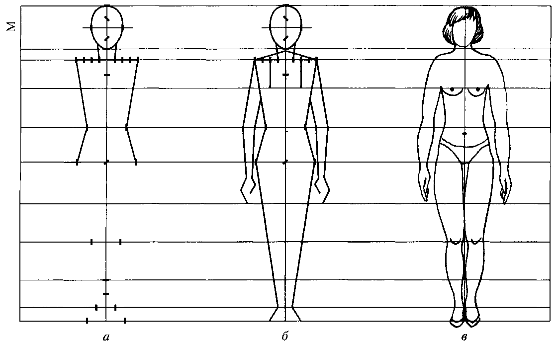 8 частей человека. Схема построения человека пропорции. Схема рисования фигуры человека. Фигура человека рисунок. Пропорции человека для рисования.