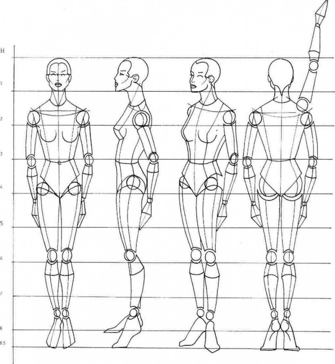 Пропорции тела человека для рисования