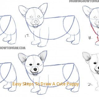 Рисование корги по этапам