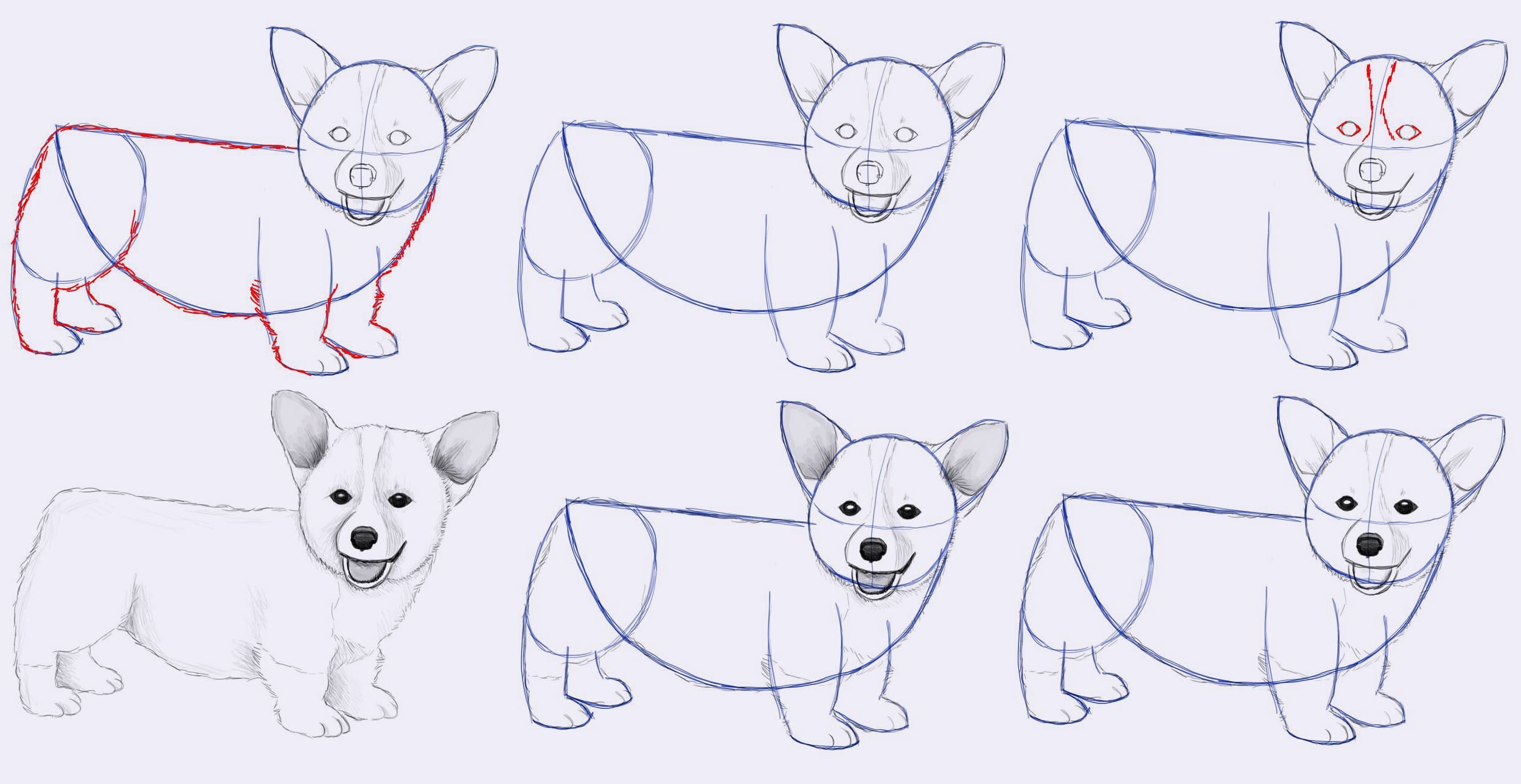 Легкая схема рисования собаки