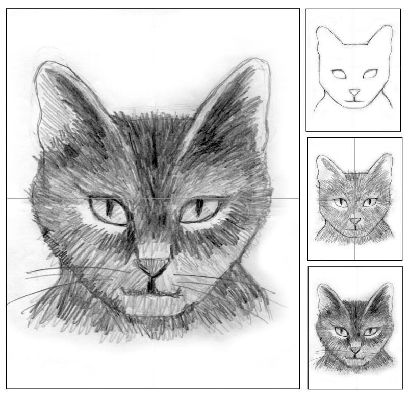 Рисунки морда кота