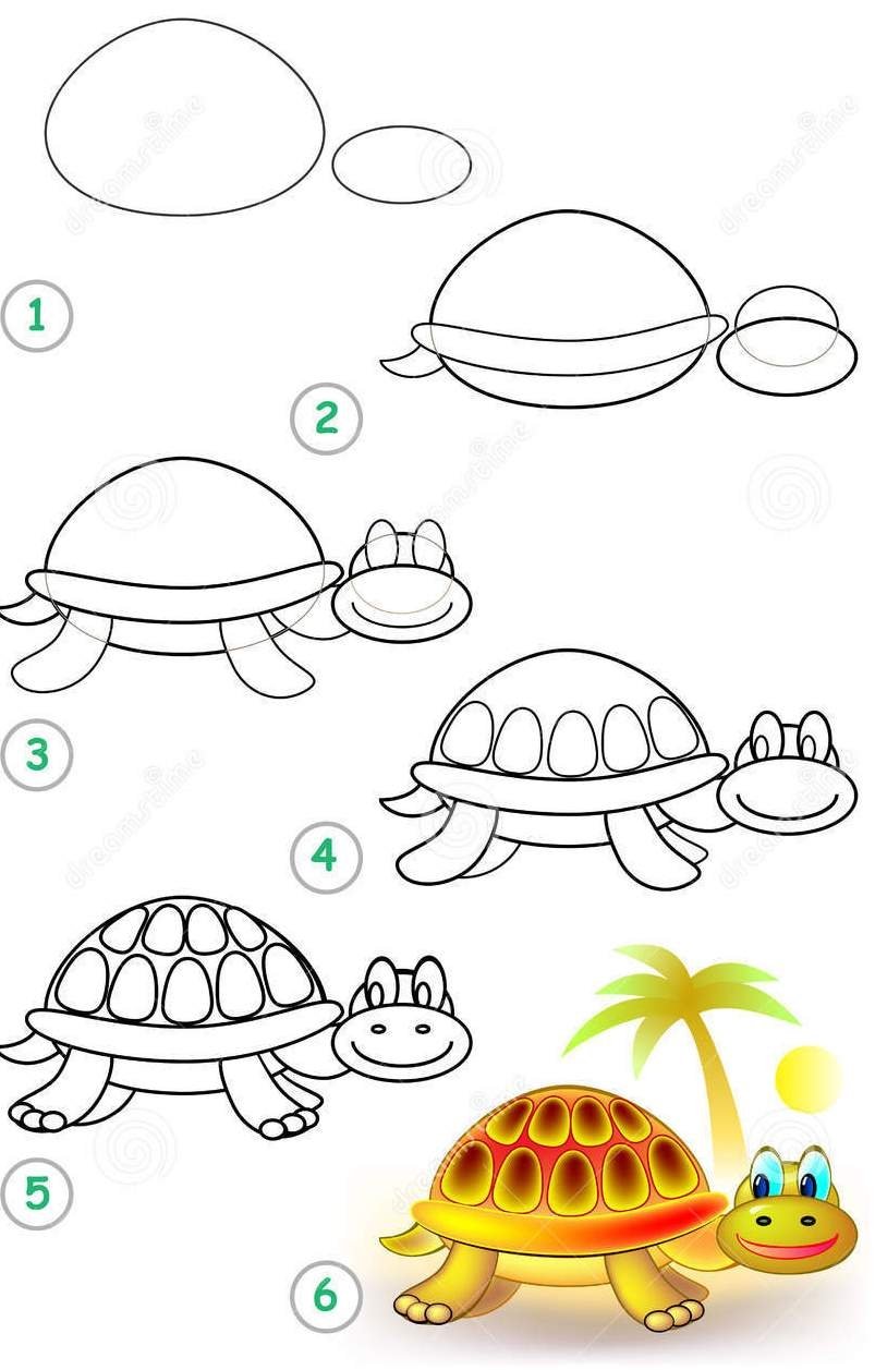 Поэтапное рисование черепахи