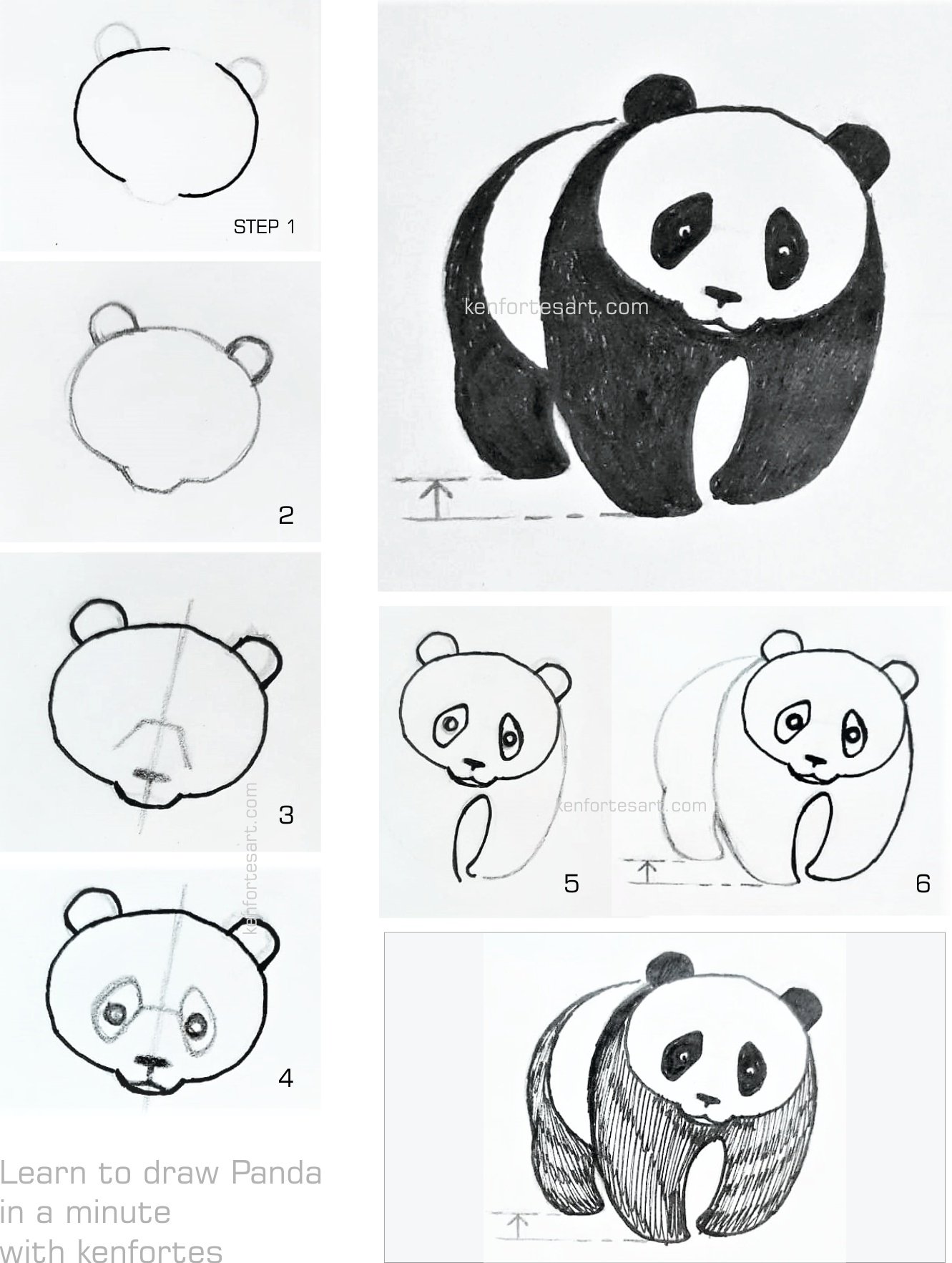 Панда рисунок карандашом поэтапно