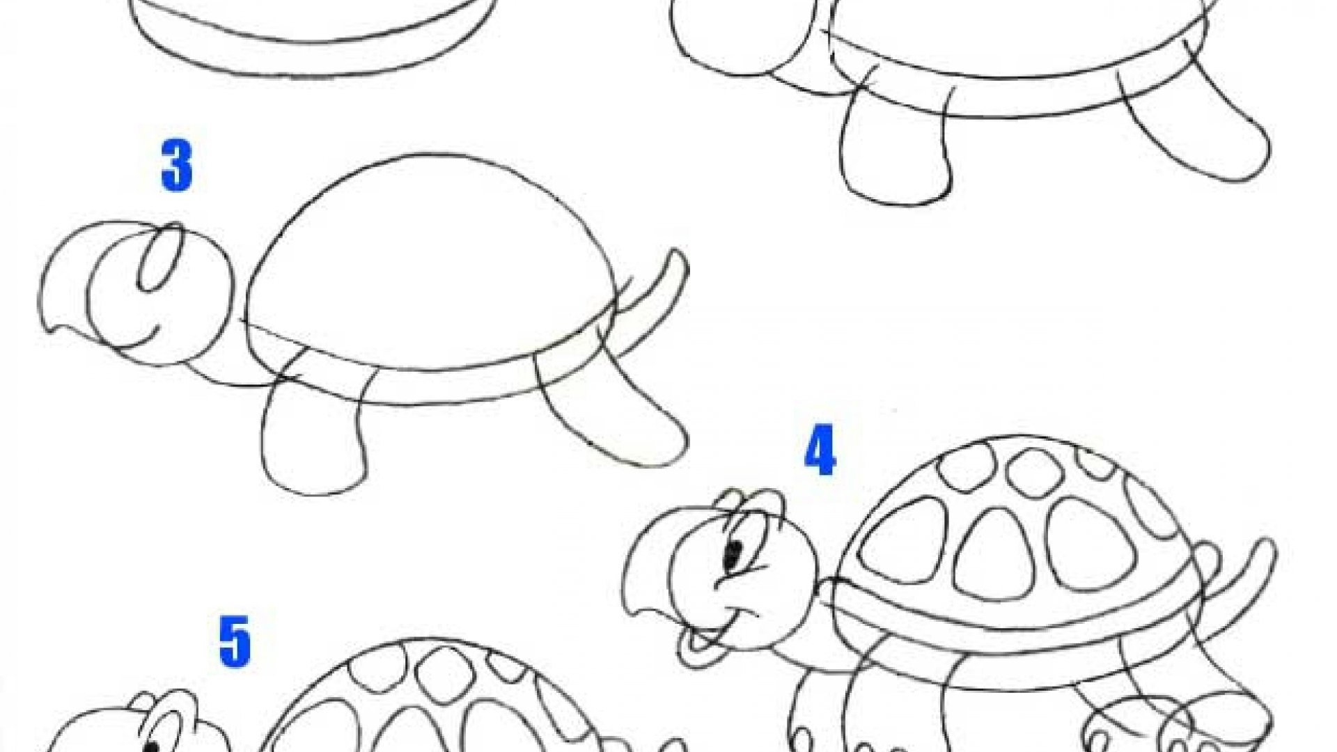 Нарисовать черепаху ребенку