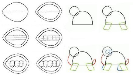Поэтапное рисование черепахи