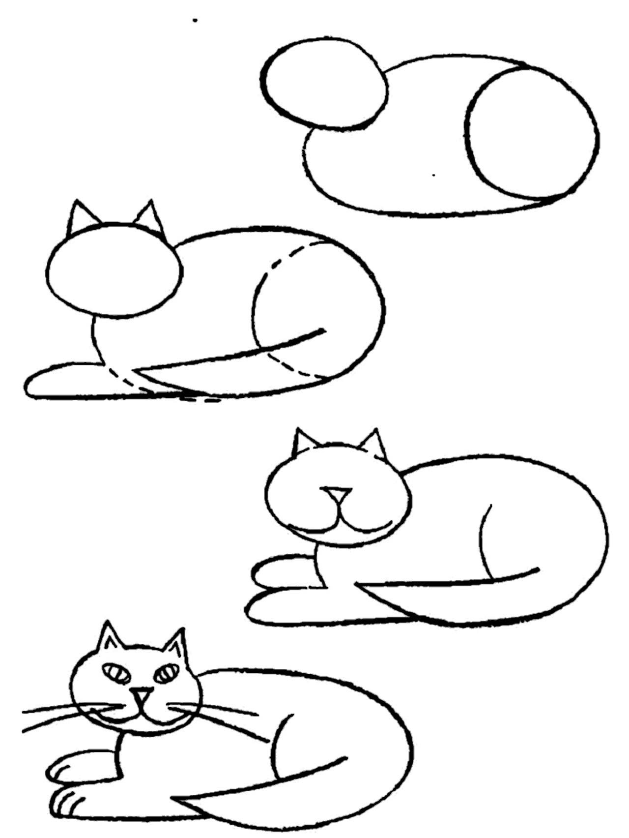картинки котят для начинающих