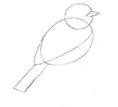 Рисование синица в подготовительной группе