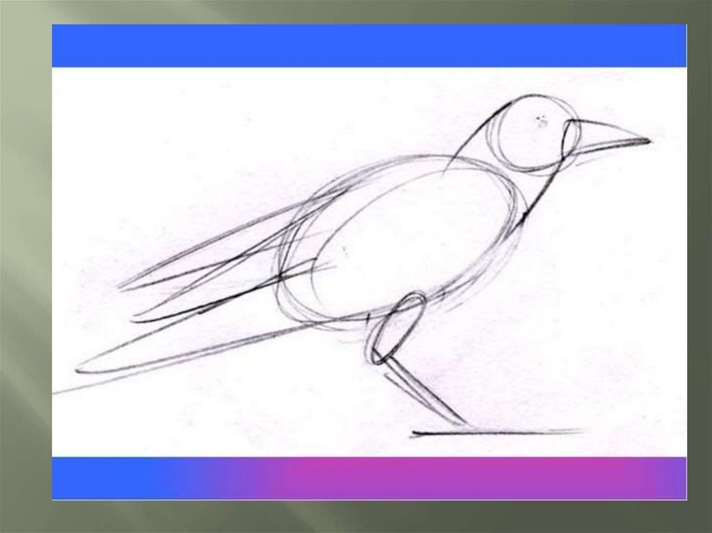 Как нарисовать грача для детей. Рисование Грача. Поэтапное рисование Грача. Конструктивное рисование птиц. Поэтапное рисование Грача для детей.