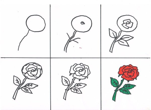 Как нарисовать розу для детей