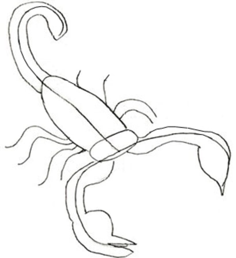 Рисуем скорпиона поэтапно