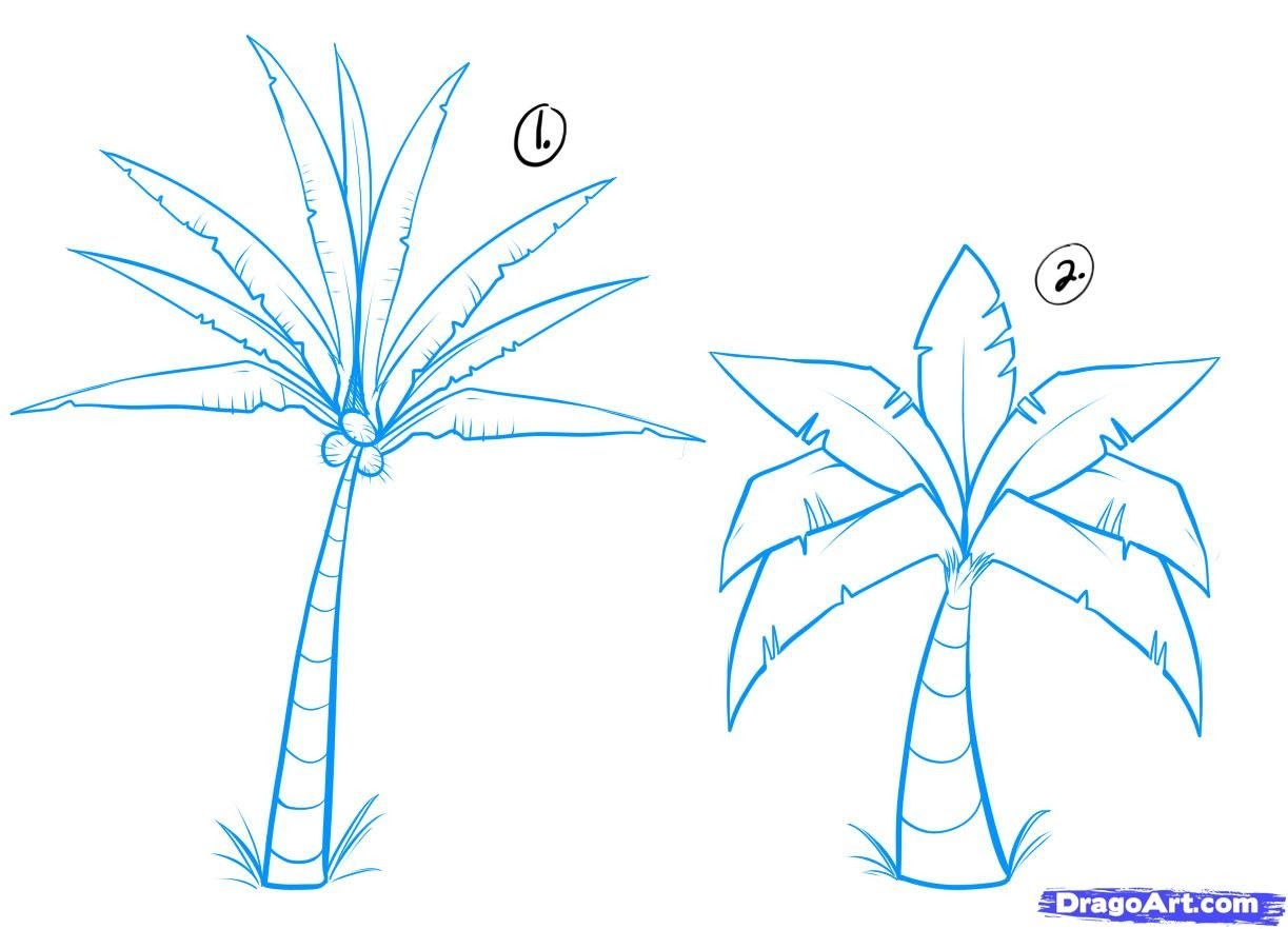 Рисование пальмы для дошкольников