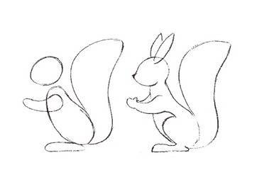 Поэтапное рисование белки в старшей группе