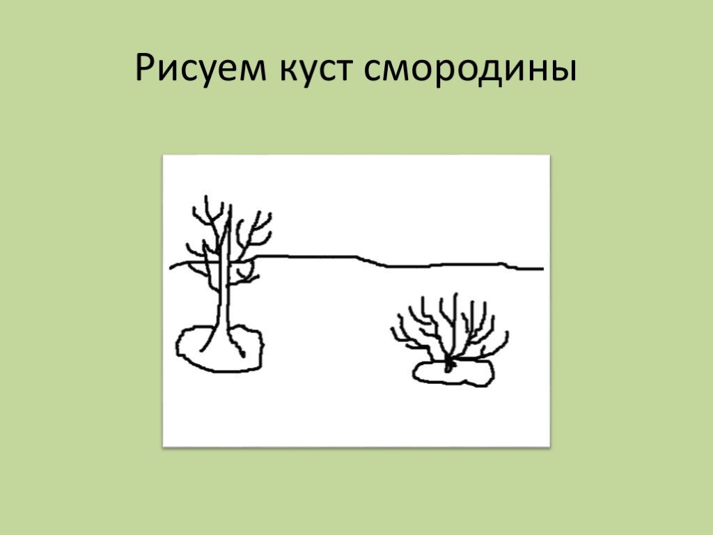 Поэтапно рисовать кустарник