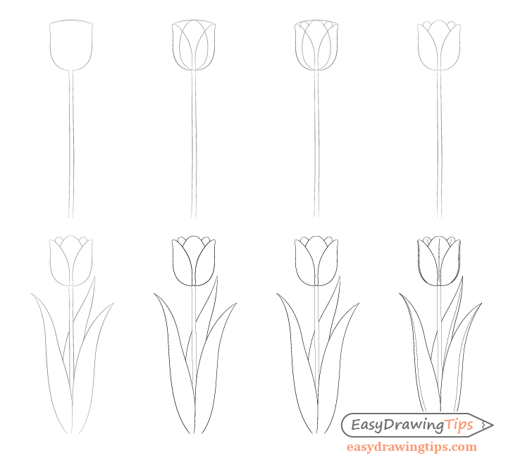 Как нарисовать тюльпаны карандашом поэтапно. Поэтапное рисование цветка. Тюльпаны рисунок. Рисование тюльпанов. Поэтапное рисование тюльпана.
