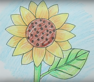 Подсолнух из цветных карандашей