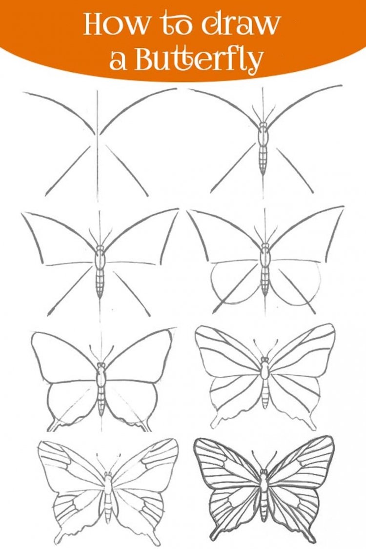 Бабочка поэтапное рисование для детей