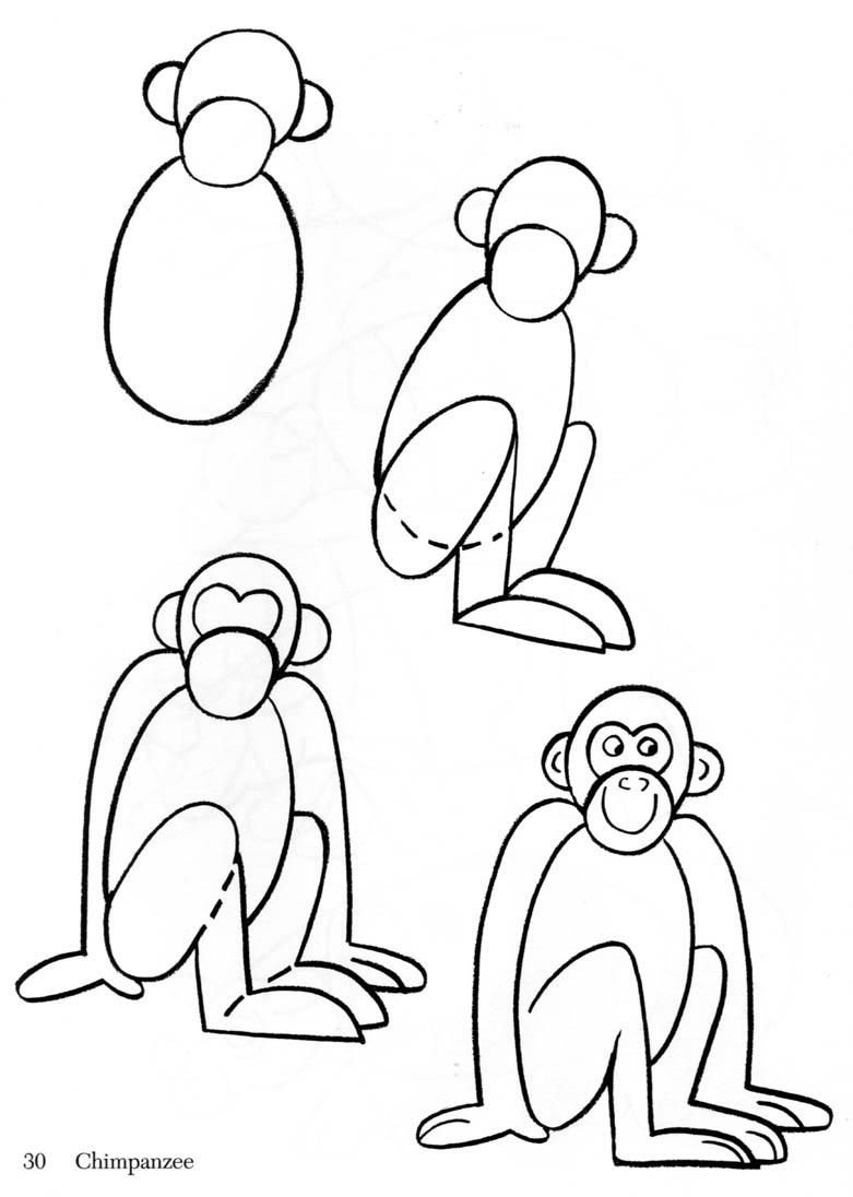 Поэтапное рисование обезьяны