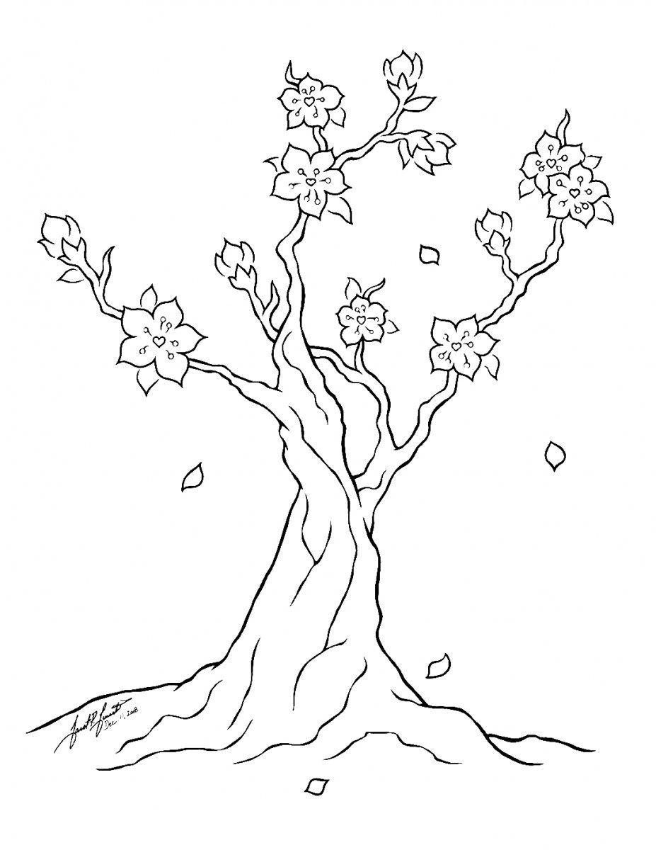 Раскраска Сакура дерево