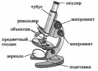 Микроскоп название частей биология 5 класс. Световой микроскоп строение микровинт. Световой микроскоп строение рисунок. Биология 5 кл строение микроскопа. Строение светового микроскопа схема.