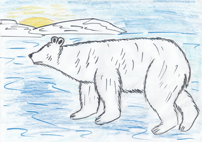 Рисунок арктики легкий