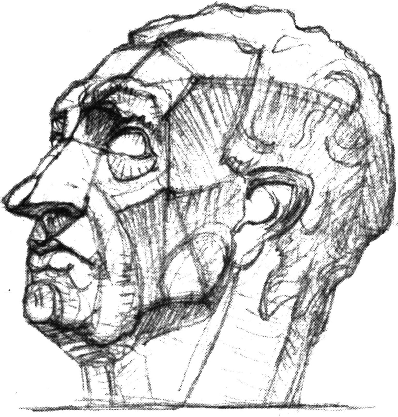 Гаттамелата голова Академический рисунок
