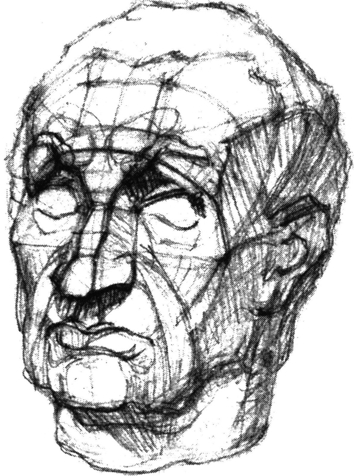 Гипсовая голова Гаттамелата конструктивный рисунок