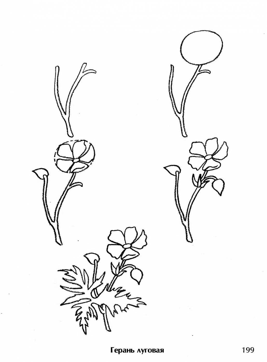 Лёгкие рисунки растений