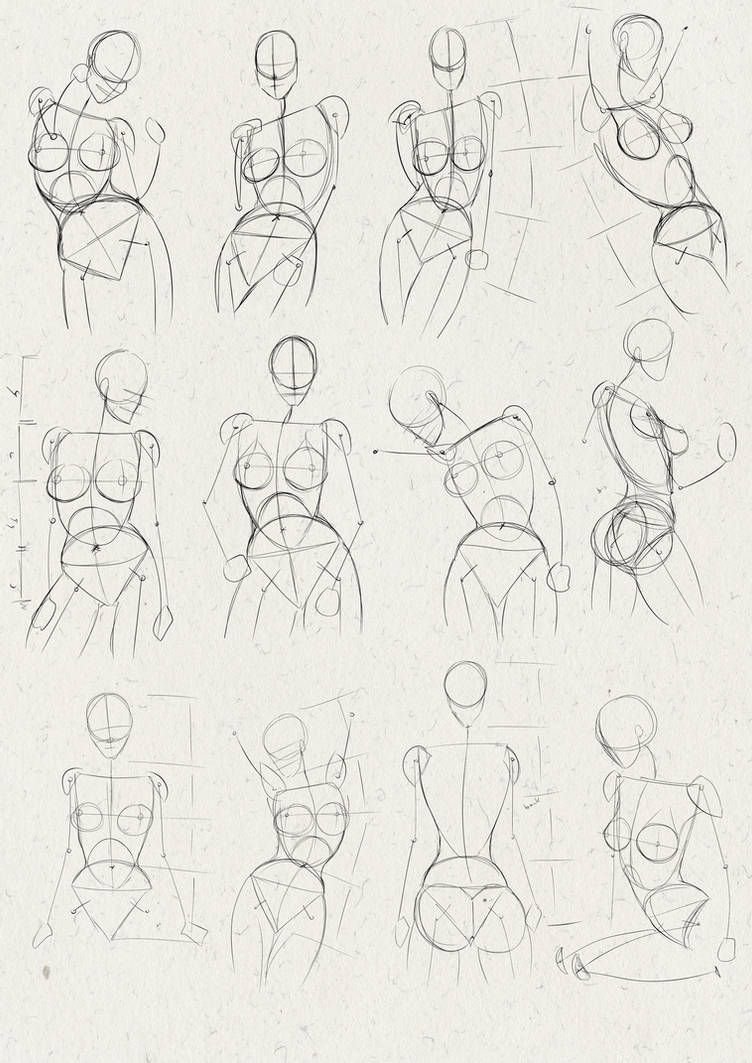 Анатомия человека для рисования для начинающих пошагово