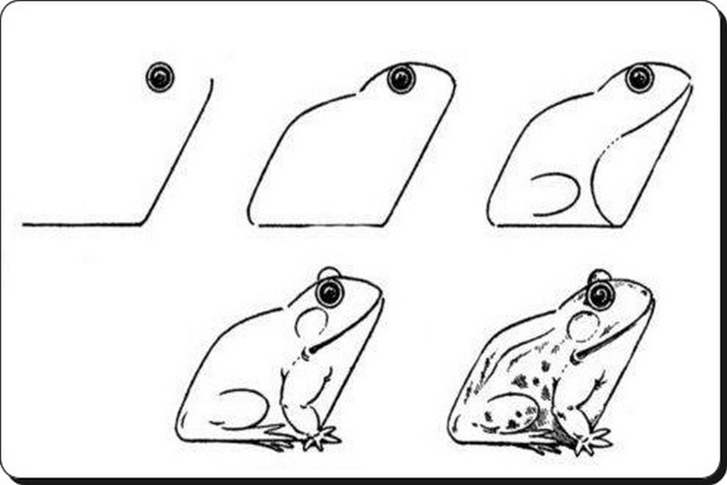 Как рисовать лягушку