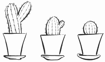 Поэтапное рисование кактуса