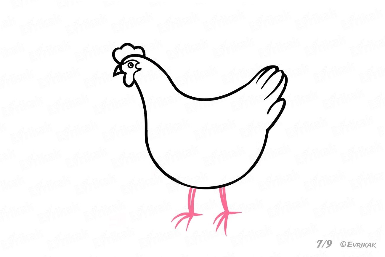 Курица легкий рисунок