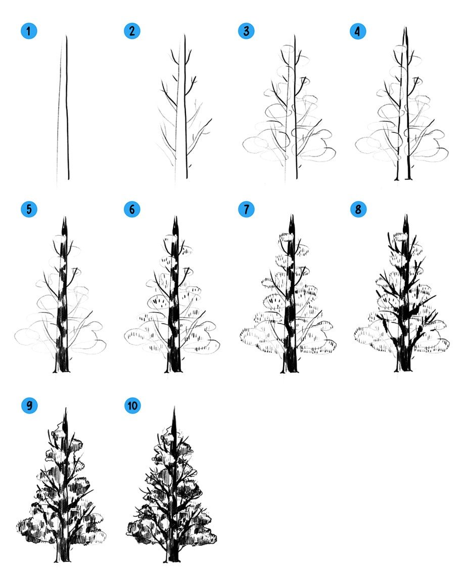Алгоритм рисования дерева