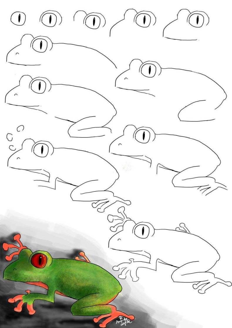 Как нарисовать лягушку легко
