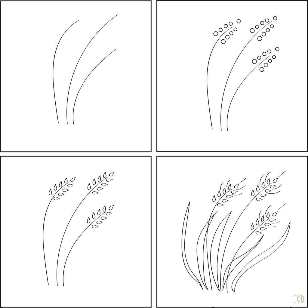 Как нарисовать колосок пшеницы для детей
