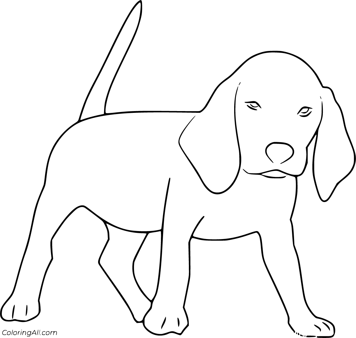 Нарисовать собаку для 1 класса