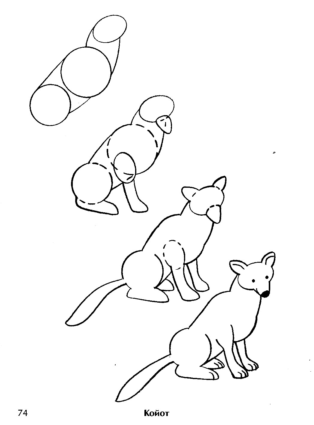 Схема рисования лисы
