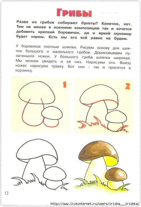 Грибы поэтапно. Гриб рисунок. Рисование грибы. Поэтапное рисование гриба. Рисунки грибов карандашом.